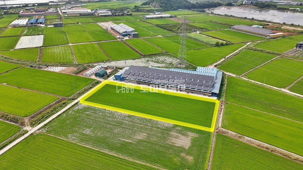 경기 김포시 대곶면 대벽리 대토수요많은 학운산업단지 인근 대벽리 농림지역 토지매매 매매 매물번호 13122 사진 2