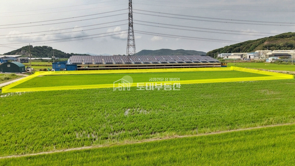 경기 김포시 대곶면 대벽리 대토수요많은 학운산업단지 인근 대벽리 농림지역 토지매매 매매 매물번호 13122 사진 3